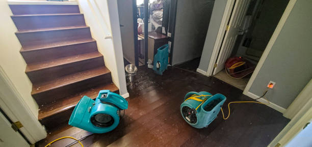 Best Flood damage cleanup  in Gun Barrel City, TX