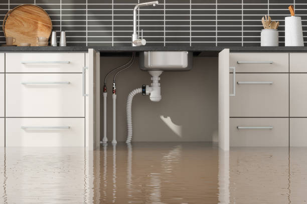 Best Ceiling water damage repair  in Gun Barrel City, TX