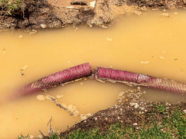 Best 24-hour water damage restoration  in Gun Barrel City, TX