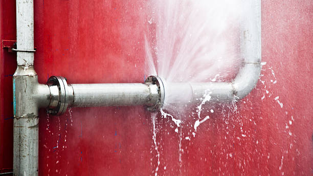 Best Professional water damage repair  in Gun Barrel City, TX